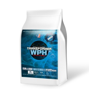 트랜스포머 WPH프로틴9500 2kg